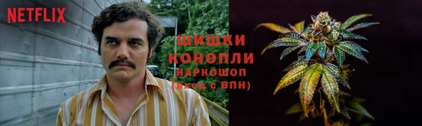 спайс Няндома
