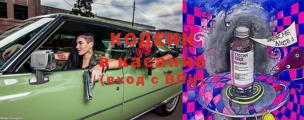 гашик Нягань