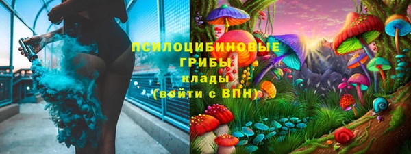 спайс Няндома