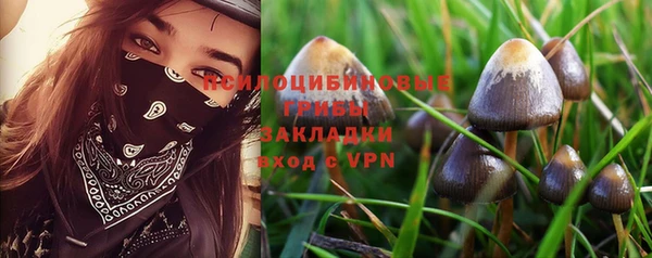 спайс Няндома