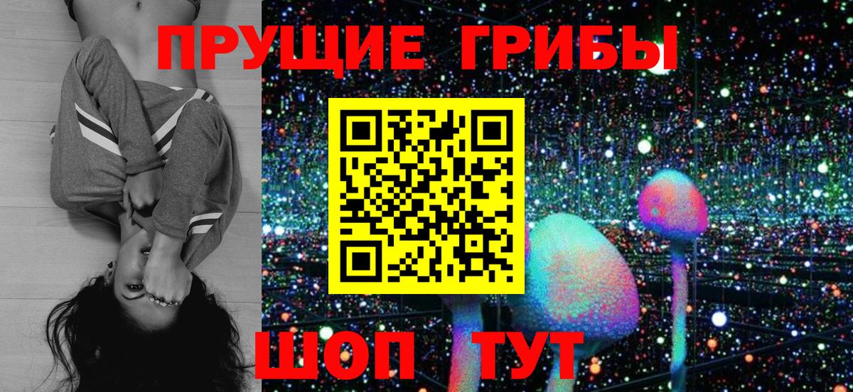 купить   Анапа  Галлюциногенные грибы Psilocybine cubensis 