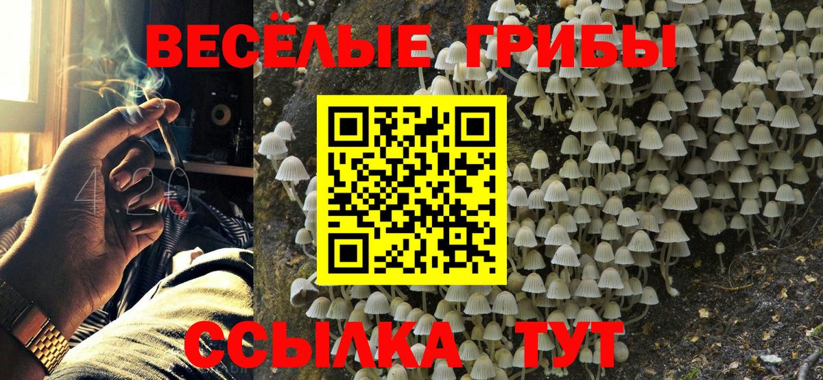 Анапа  купить наркотики сайты  Вход с VPN  Галлюциногенные грибы MAGIC MUSHROOMS 